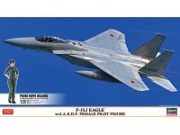 Hasegawa 1/72 F-15J EAGLE w/ JASDF FEMALE PILOT FIGURE (02325) English Color Guide  Paint Conversion Chart