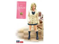 Hasegawa 1/12 JK Mate Series #02 CARDIGAN (SP388) English Color Guide  Paint Conversion Chart