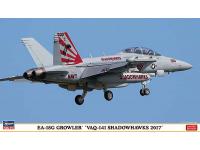 Hasegawa 1/72 EA-18G GROWLER 'VAQ-141 SHADOWHAWKS 2017' (02250) English Color Guide  Paint Conversion Chart