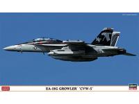Hasegawa 1/72 EA-18G GROWLER 'CVW-5' (02143) Color Guide & Paint Conversion Chart - i0