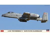 Hasegawa 1/72 A-10C THUNDERBOLT II '184FS FLYING RAZORBACKS' (02133) Color Guide & Paint Conversion Chart - i0