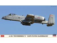 Hasegawa 1/72 A-10C THUNDERBOLT II '184FS FLYING RAZORBACKS' (02133) Color Guide  Paint Conversion Chart