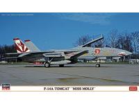 Hasegawa 1/72 F-14A TOMCAT 'MISS MOLLY' (02123) Color Guide  Paint Conversion Chart