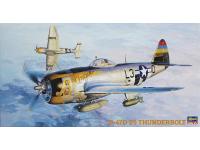 Hasegawa 1/48 P-47D-25 THUNDERBOLT (JT40) Color Guide & Paint Conversion Chart - i0