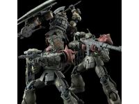P-Bandai HG 1/144 ZAKU II F TYPE CHUBS AND KALE + ZAKU II (UNIDENTIFIED TYPE) SOLARI CUSTOM PARTS SET (RFV)  - i0