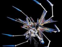 P-Bandai RG 1/144 STRIKE FREEDOM GUNDAM (TITANIUM FINISH)  - i0