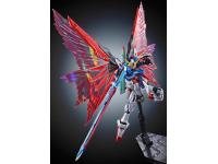 P-Bandai RG 1/144 DESTINY GUNDAM [TITANIUM FINISH] - i0