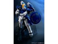 P-Bandai RG 1/144 TALLGEESE II  - i0