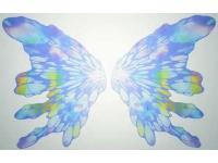 P-Bandai MG 1/100 EXPANSION EFFECT UNIT 'MOONLIGHT BUTTERFLY' for TURN A GUNDAM - i0